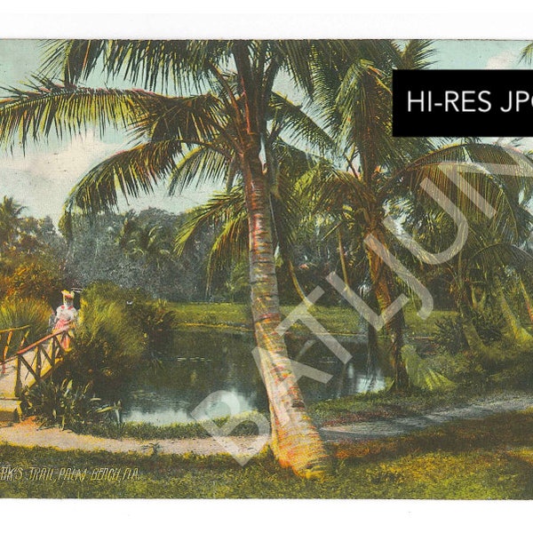 Old Florida, Palm Beach circa 1900 Victorian lady postcard Clarks Trail Coconut image JPG file Digital Download vintage with postcard back