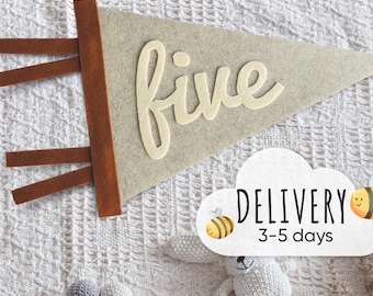 Baby milestone cards, Kids and Baby monthly milestone marker, Personalized pennant, Monthly milestones baby boy, Newborn  Milestone pennant
