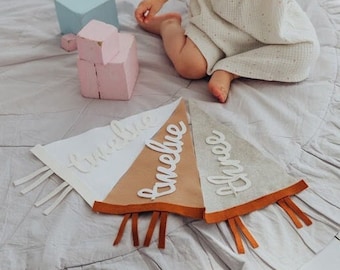 Millistone card, Milistone pennant, Baby milestone cards, Baby monthly milestone marker, Personalized pennant, Monthly milestones baby boy