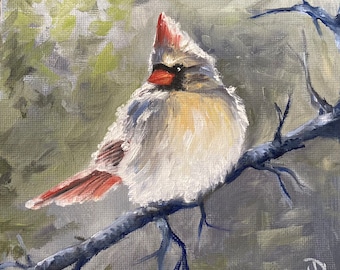 Cardinal, peinture de petit oiseau à l’huile