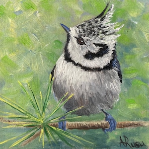 Mésange huppée ,peinture à l’huile  de petit oiseau sur carton entoile  ,œuvre d’arte originale ,cadeau idéal coloré en miniature !