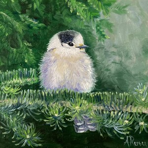 Mésange Grey Jay , oiseau peinture à l’huile sur carton entoile  , œuvre d’arte ,cadeau idéal coloré en miniature !