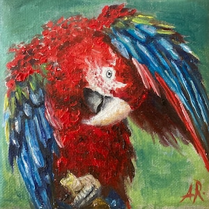 Perroquet Ara, peinture à l’huile de oiseau sur carton entoilé