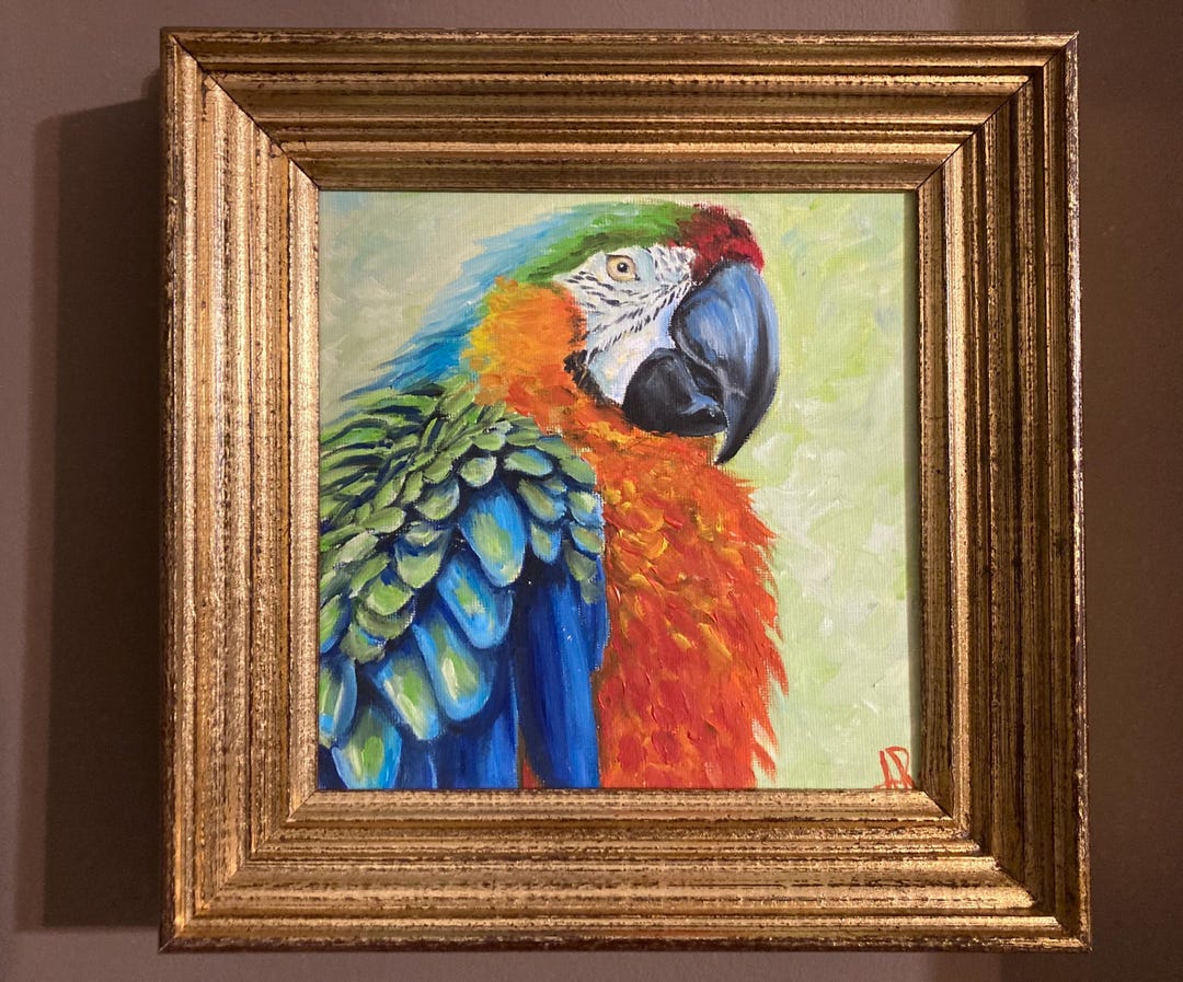Macaw Parrot, Oil Painting on Canvas Board. - Etsy Canada