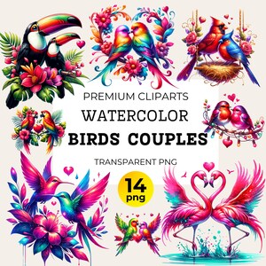 Imágenes prediseñadas de pareja de pájaros románticos vibrantes para San Valentín, tortolitos para el día de San Valentín, imágenes prediseñadas PNG de pareja de palomas papoose de cereales para sublimación y manualidades