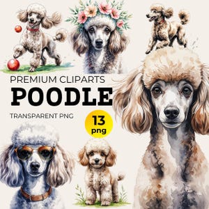 Watercolor Poodle Clipart Bundle: Dog Breed PNG for Sublimation (Digital Download)
