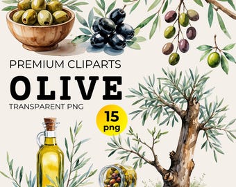 Bundle de cliparts aquarelle rameau d'olivier, verdure PNG (téléchargement numérique)