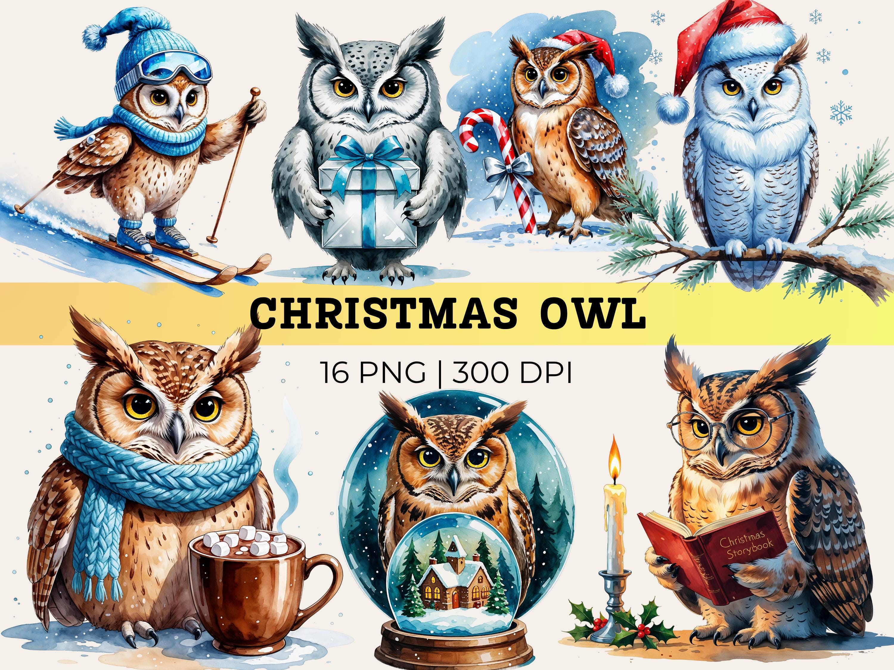Christmas Owl Clipart Set | Watercolor Snowy Owl PNG | Winter Woodland Animal Art