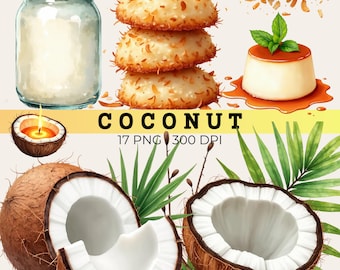 Sommer Kokosnuss Clipart Bundle, Tropische Drink Grafiken, Dessert PNG (17 Dateien)