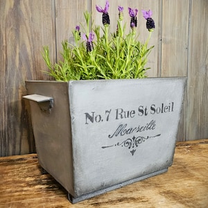 Antique Cast Iron Planter: Shabby Chic French Jardiniere