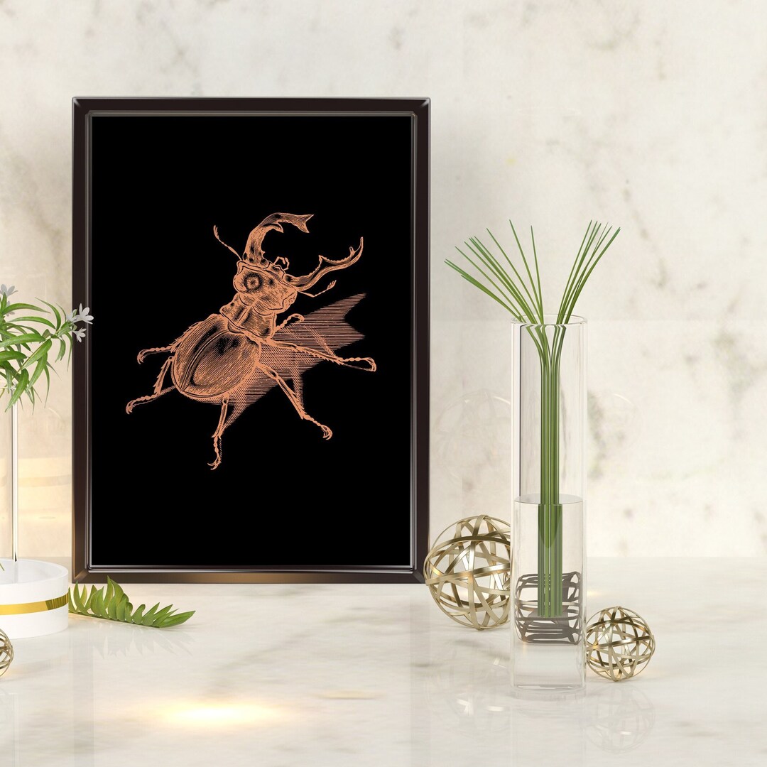 Beetle Insect Art Print, Botanical Wall Decor for Entomology ...