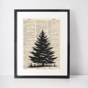 Puede incluir: Ilustración en blanco y negro de un pino sobre una página de diccionario vintage, enmarcada en un marco negro. El árbol está detallado con una apariencia texturizada, sobre el fondo del texto del diccionario.