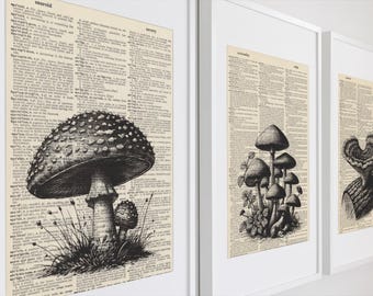 Vintage Book Page Art – Nature Mushrooms – Set of 3 Prints (Forest Mushroom Illustrations) – Antique Encyclopedia or Dictionary Page Print
