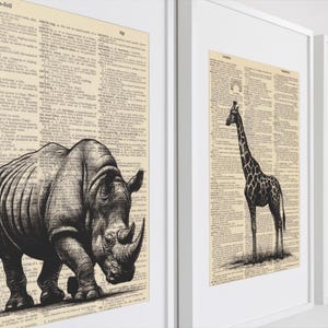 以下が含まれることがあります： アフリカの動物の白黒イラストが描かれた、額装されたアートプリント3点。サイ、キリン、バッファローが描かれています。アートワークは、ヴィンテージの辞書ページを背景に配置されています。