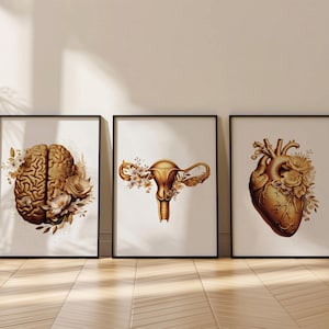 Doctor Office Gold Decor,Set of 3,Anatomy Art Print,Nurse Office Decor,Doctor Gift,Medical Student Gift,Brain,Heart,Uterus,DIGITAL DOWNLOAD