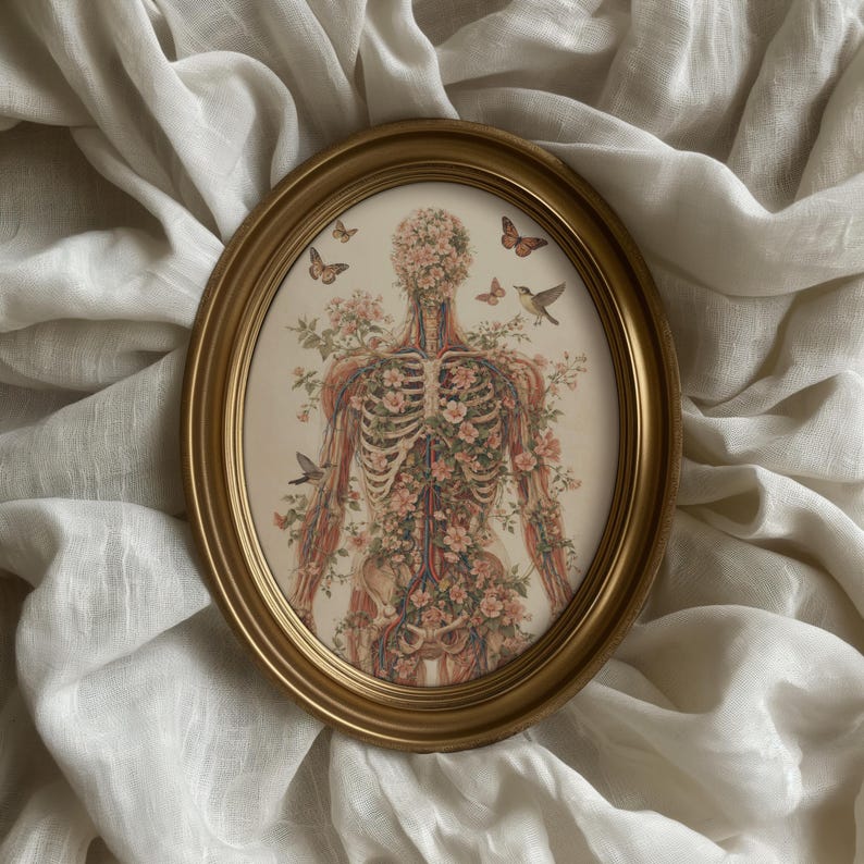 Pink Floral With Butterfly Human Anatomy Poster : Botanical Doctor ...