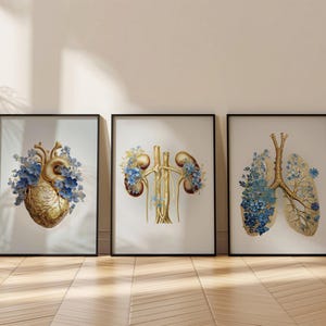 Peut inclure: Trois impressions encadrées d'illustrations anatomiques du cœur, des reins et des poumons humains. Chaque organe est représenté en or avec des fleurs bleues qui en poussent.