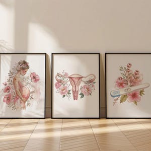 Decoración floral para el embarazo, juego de 3, arte ginecológico, impresión de ginecólogo/a, regalo de doula, regalo de agradecimiento para partera/obstetra con flor rosa, descarga digital
