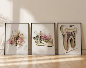 Könnte beinhalten: Drei gerahmte Drucke von anatomischen Illustrationen von Zähnen mit floralen Akzenten. Die Drucke zeigen eine Nahaufnahme eines Zahns mit einer Wurzel, einen Kieferknochen mit einem Zahn und einen einzelnen Zahn mit einer Wurzel.