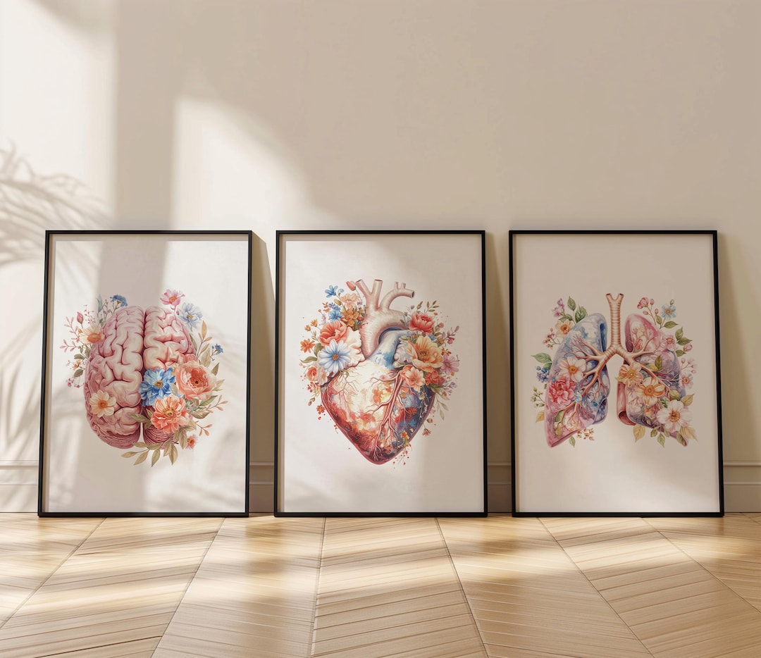 Anatomical Heart,brain,lungs Print Set of 3 : Floral Medical Wall Art ...