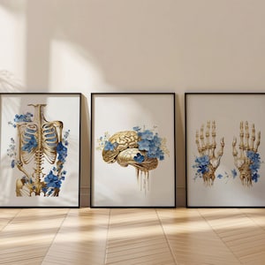 Anatomical Floral Art Prints Set of 3:Gold Skeleton,Brain and  Hands - Medical Office Decor,Digital Download
