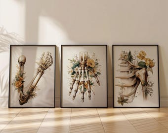 Anatomical Skeleton Prints Set of 3: Hand, Shoulder, Arm - Floral Medical Art (Digital Download)