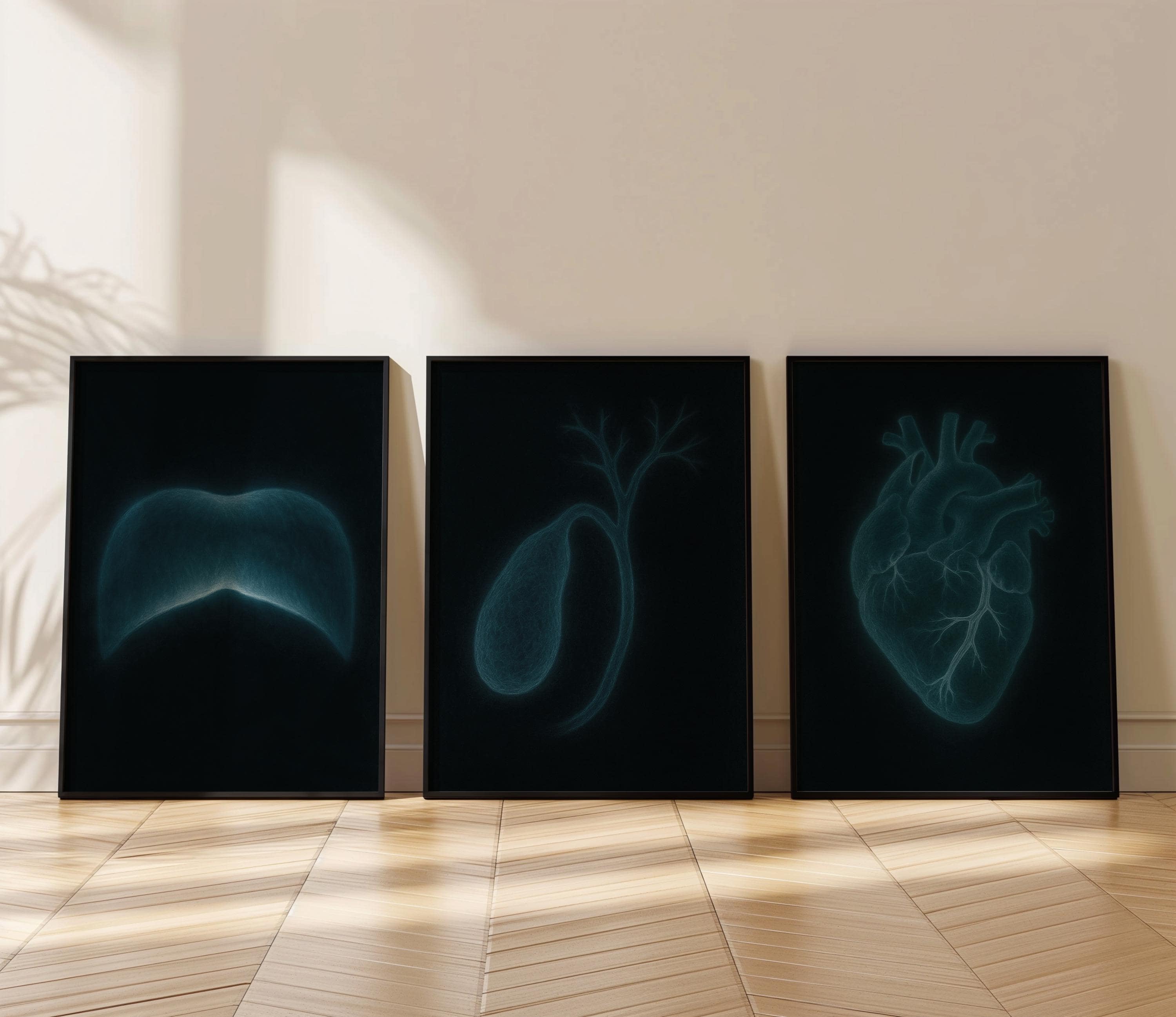 X-ray Anatomy Poster Set of 6 : Medical Wall Art (digital Download) - Etsy
