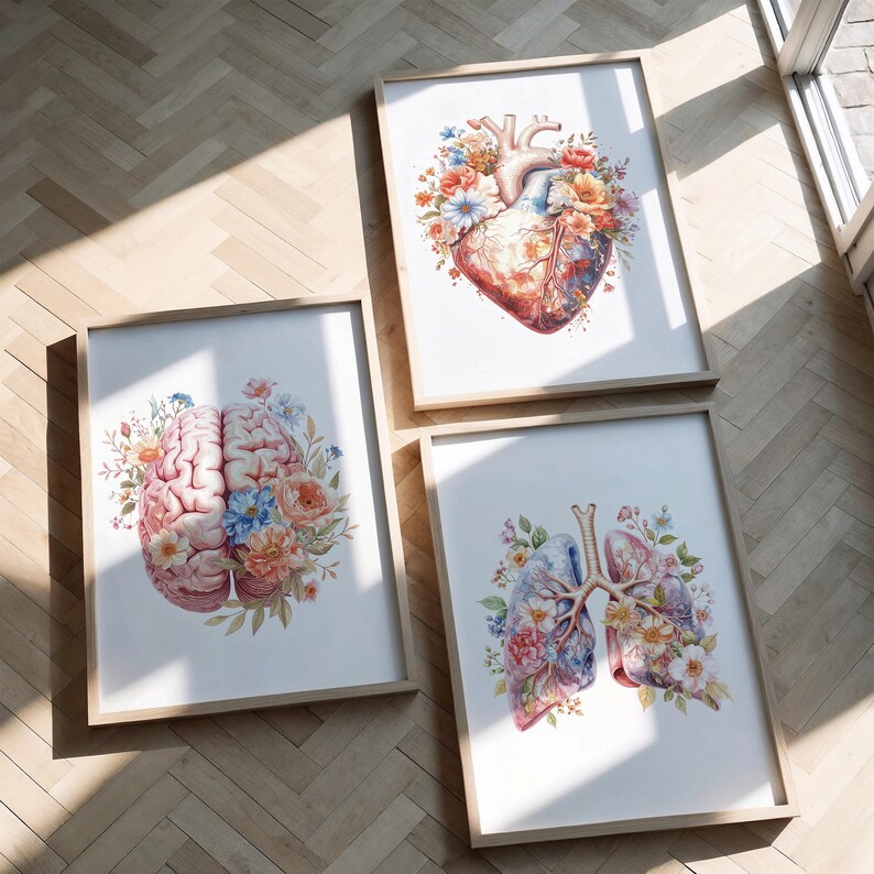 Anatomical Heart,brain,lungs Print Set of 3 : Floral Medical Wall Art ...