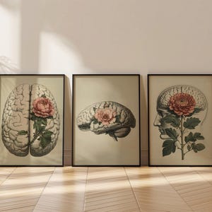 May include: Three framed art prints featuring vintage anatomical illustrations of the human brain. Each print showcases a brain image with a large pink flower and green foliage. The prints are in black frames.