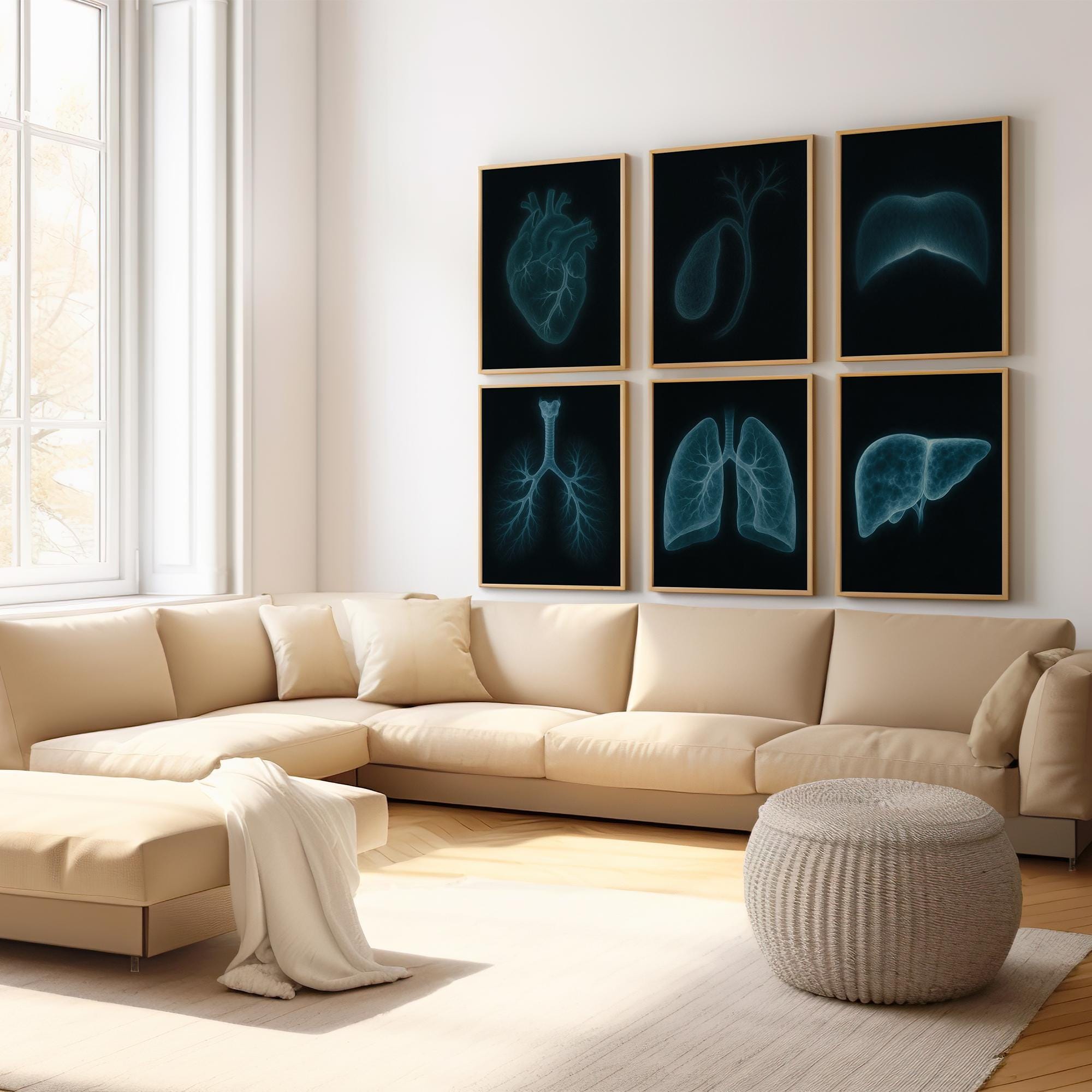 X-ray Anatomy Poster Set of 6 : Medical Wall Art (digital Download) - Etsy