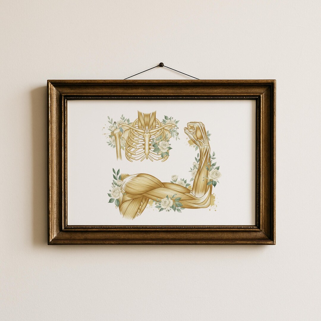 Skeleton Horizontal Muscle and Skeleton Horizontal Poster : Human Anatomy Wall Art ...