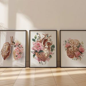 Décoration de bureau de médecin, lot de 3 téléchargements numériques, cerveau anatomique, poumons anatomiques, coeur anatomique, oeuvre d'art pour cabinet médical, cadeaux de cardiologie