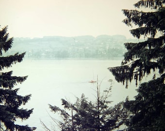 fog in zurich vintage wall art Fog wall art Landscape prints Nature wall art Nature canvas art Landscape wall art photo Trees in the fog art
