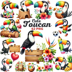 Lindo tucán clipart, pájaro tropical de acuarela, decoración de guardería con animales de la jungla, fiesta infantil de verano, tucán colorido de la selva tropical png
