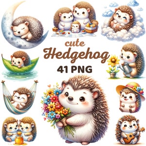 Acuarela lindo erizo clipart, primavera verano erizo durmiendo en la nube luna vivero, erizo amante cumpleaños animal baby shower Png