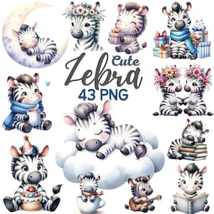 Aquarel schattige zebra clipart, zebra slapen op Cloud Moon kwekerij, kawaii zebra minnaar verjaardag safari jungle dieren babyshower png