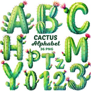 Alfabeto de cactus, letras y números florales de acuarela, sublimación, botánico, suculento, alfabeto de plantas del desierto PNG