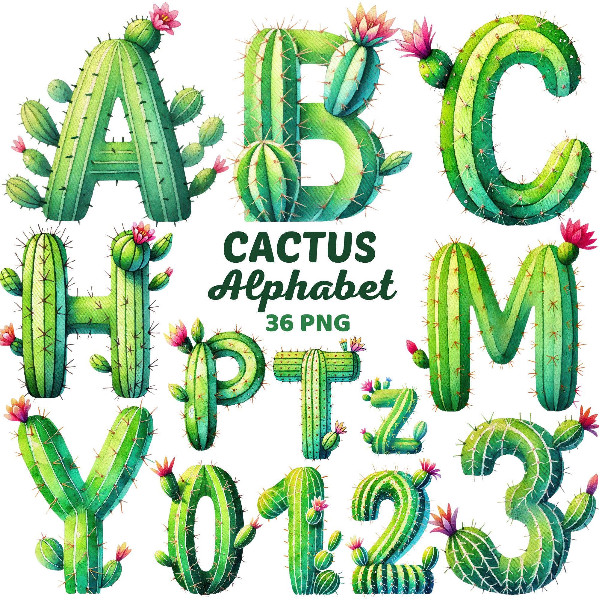 Cactus Alphabet Clipart, Watercolor Floral Letters & Numbers Sublimation,  Botanical, Succulent, Desert Plant Alphabet Png - Etsy