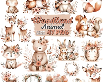 Aquarell Boho Waldtiere Clipart, Tier Kindergarten Sublimation, Eule Hase Waschbär Eichhörnchen Fuchs Bär Hirsch Liebhaber Bundle Png