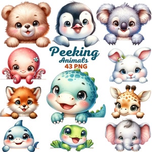 Imágenes prediseñadas de animales asomando, acuarela lindo bebé caras de animales asomando, vivero oso conejito bosque selva animal, niños baby shower png