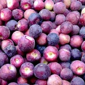 May include: A close-up of a pile of small, round, purple and red fruits. The fruits are smooth and have a slightly shiny appearance.