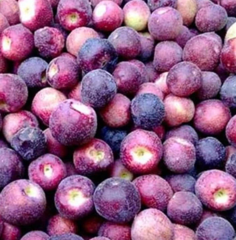 May include: A close-up of a pile of small, round, purple and red fruits. The fruits are smooth and have a slightly shiny appearance.