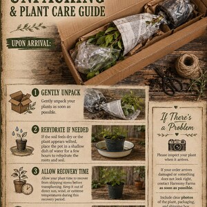 May include: A Harmony Farms plant care guide featuring a cardboard shipping box with a live plant wrapped in newspaper, alongside instructional steps for unpacking, rehydrating, and transplanting, plus a section for reporting plant damage.