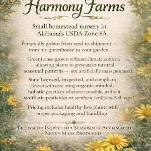 May include: A rectangular informational sign for Harmony Farms featuring a cream-colored background with a border of yellow daisies and green foliage. The text details a small homestead nursery in Alabama, emphasizing organic-minded practices.