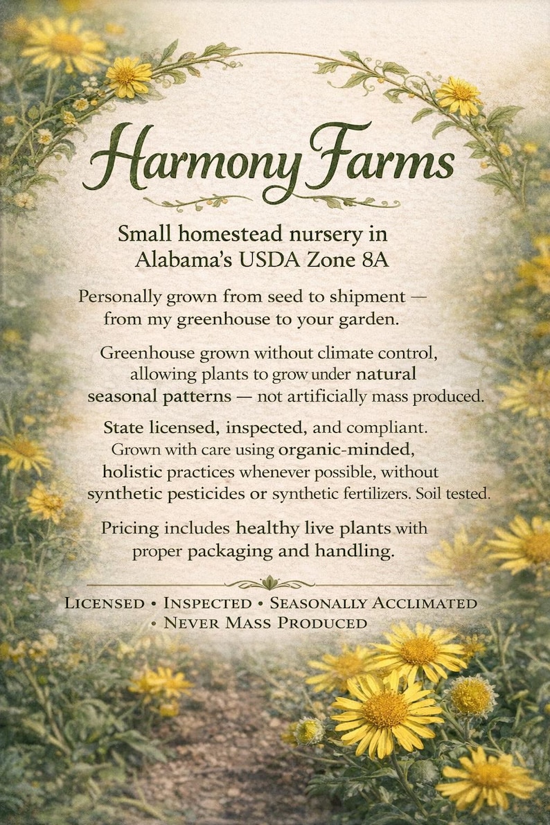 May include: A rectangular informational sign for Harmony Farms featuring a cream-colored background with a border of yellow daisies and green foliage. The text details a small homestead nursery in Alabama, emphasizing organic-minded practices.