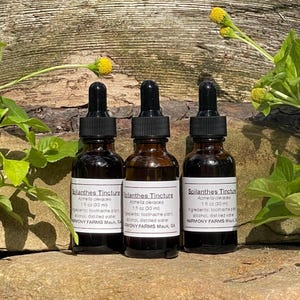 Spilanthes (Toothache) Tincture  1 oz  | Acmella oleracea | Wildcrafted Single-Herb Extract