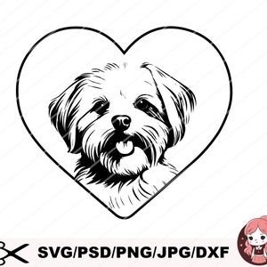 Maltese Svg, Maltese Clipart, Maltese Png, Maltese Head, Maltese Cut Files For Cricut , Maltese Silhouette, Dog Silhouette