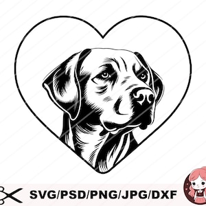Labrador svg files Cricut, dog svg clipart Download, Lab t-shirt design, Labrador Retriever vector, printable art, sit body, dxf plasma cut