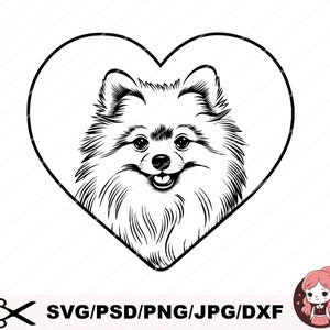 Kleiner Spitz, Spitz PNG, Hund SVG-Datei für Cricut, niedliches spähendes Haustier Gesicht Körper Clipart, Rasse, Download, druckbare Vektorkunst, png, dxf