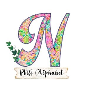 Puede incluir: Una letra N con estampado floral y contorno morado. La letra está sobre un fondo blanco con una pancarta que dice "PNG Alphabet".